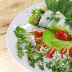 Pineapple mango spinach parsley rolls