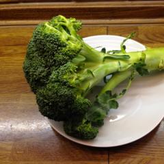 Broccoli