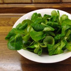 Lamb's lettuce