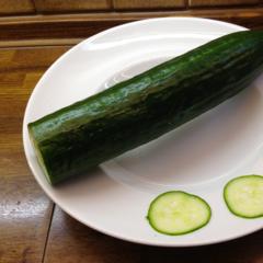 Cucumber
